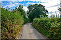 Mid Devon : Country Lane