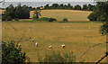 Wylye flood plain