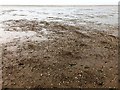 TF6539 : Low tide in The Wash near Hunstanton by Richard Humphrey