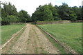 Bridleway towards Sandy Lane