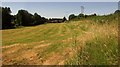 Towards Chilhampton Farm