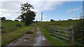 Track at Dryburgh Farm