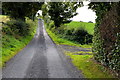 Tattynure Road, Carrigans