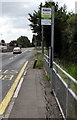 Severnwood Gardens bus stop, Severn Beach