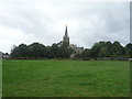 Grazing towards Christ Church, Walshaw