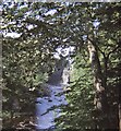 NY8828 : View to the pool at the foot of High Force (1970) by Stanley Howe
