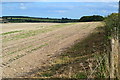 Bare field beside the road to Pitton