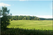 SD5109 : Fields near Appley Bridge by Mike Pennington