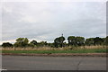 Fields by Wanborough Road, Covingham