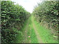 Green lane near Lawdenshayne