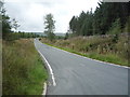 SD6916 : Stones Bank Road through Charter's Moss Plantation by JThomas