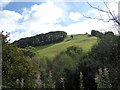 A view up to Mynydd Pant-c?ch