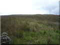 Rough hillside grazing off Bolton Road (A666)