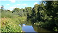 River Mole at Betchworth