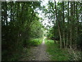 Footpath beside the M65 Motorway