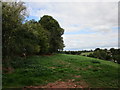 Field edge above Poolhill