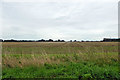 Field east of Heath Road, Tendring Heath