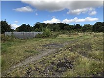 NZ3037 : Site of Bowburn Colliery by David Robinson