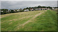 Houses on the edge of Killearn