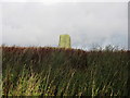 Standing stone near Huntlyhill