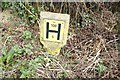 Fire Hydrant sign in the verge