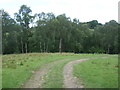 NZ1032 : Farm track off Howlea Lane by JThomas