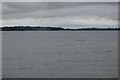 N5368 : Lough Lene by N Chadwick