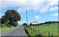 11kV  power lines crossing the Carrickrovaddy Road