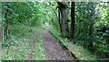 The Clyde Walkway opposite Hazelbank