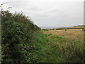 Path off Micklow Lane