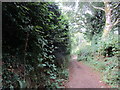 Track to Greenhill from Higher Sticklepath