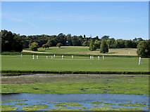 TL5238 : Audley End: Sunday cricket by John Sutton
