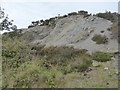 Old spoil heap at Truthwall