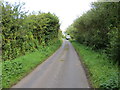 M6676 : Hedge enclosed local road (L1610) near Caher by Peter Wood