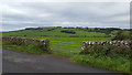 Farmland near Rascarrel