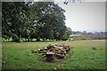 Logs and pasture fields at Lurg