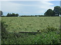 NZ1027 : Recently cut silage field near New Field Farm by JThomas