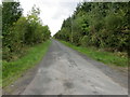 M7383 : Lane passing through woodland near Caddellbrook by Peter Wood