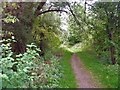 Wildmoorway Lane [4]