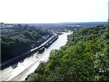 ST5672 : The River Avon from the Clifton Suspension Bridge by Eirian Evans