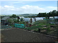 NZ1627 : Allotments, Hunter's Hill by JThomas