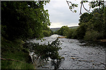 SE0598 : River Swale between Reeth and Marrick Priory by Chris Heaton
