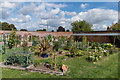 Victorian kitchen garden, The Grange