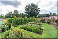 Victorian kitchen garden, The Grange