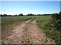 Footpath to Eaton Lane