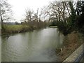 River Mole: Looking upstream from Old Esher Road in Hersham