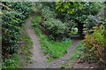 Footpath junction in woods above Westward Ho!