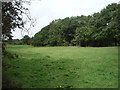 Grazing and woodland off Bury and Rochdale Old Road