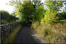 SK4995 : Arbour Lane towards Garden Lane by Ian S
