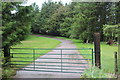 Gated track to belt of conifers